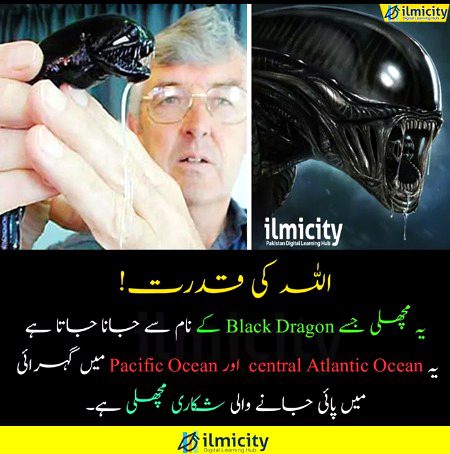 Interesting Posts image