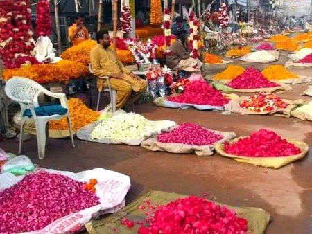 مرنے والوں کی  خیر ہو مولا 
میرے دن بھر گُلاب بِکتے ہیں