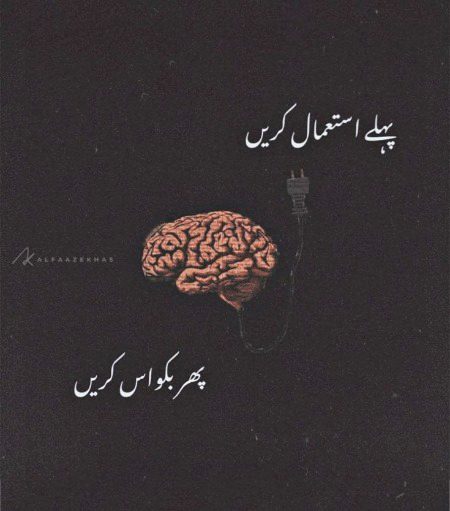 Kashif_Rajpoot