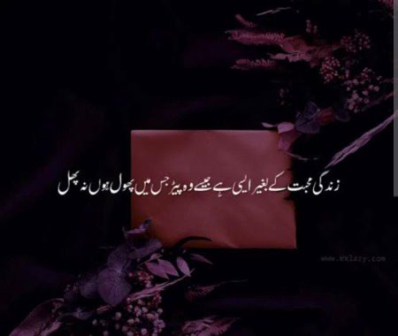 Anishba..