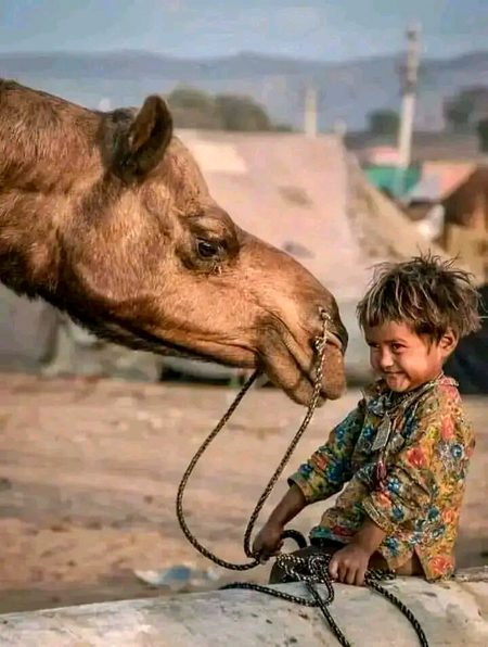 Beautiful Nature image