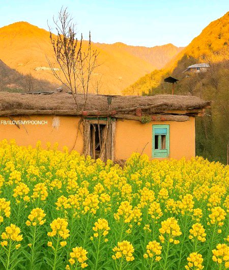 Beautiful Nature image