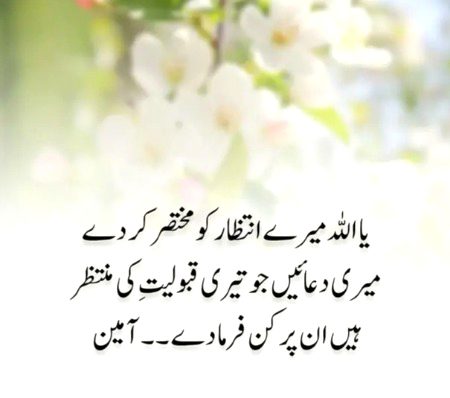INSHALLAH AAMEEN SUM AAMEEN 🤲🏽