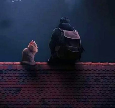 صدیوں سے راہ تکتی ہوئی گھاٹیوں میں تم 
اک لمحہ آ کے ہنس گئے  میں ڈھونڈھتا پھرا 
تم  پھر  نہ  آ سکو  گے  بتانا  تو  تھا  مجھے 
تم دور جا کے بس گئے  میں ڈھونڈھتا پھرا
🖤