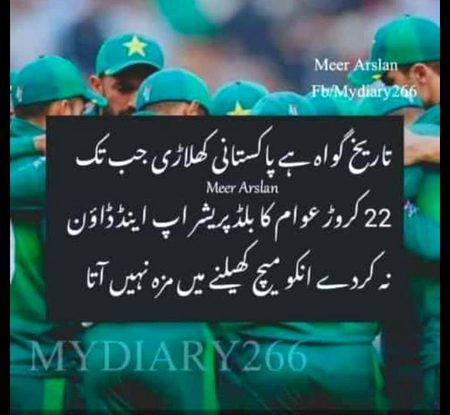 Memes & Satire image