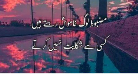 ❤💚💜❤💚💜❤💚💜