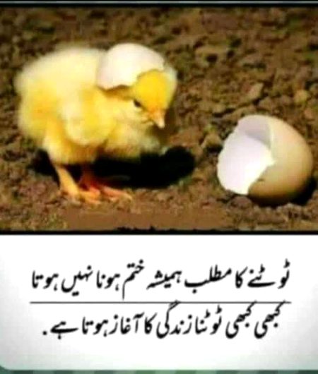 Beshaq ☝️❤️