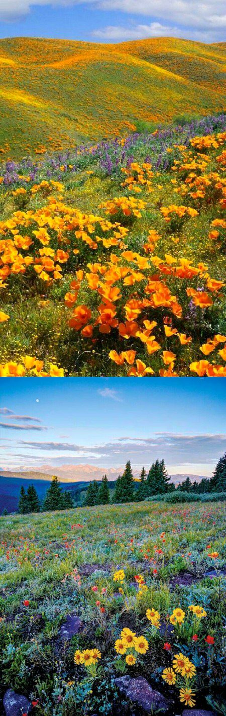 Beautiful Nature image