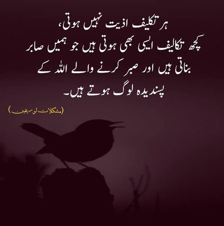 Islamic Quotes image