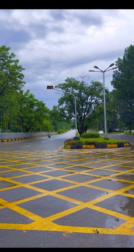 Beautiful Nature image