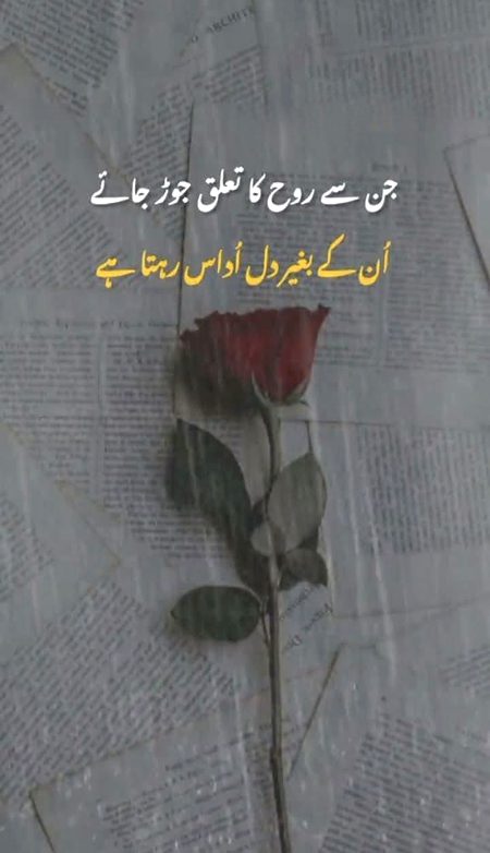 تیرے بنا اے جاں S دل بھت اداس ھے