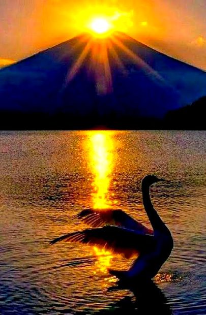 Beautiful Nature image