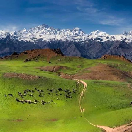Beautiful Nature image