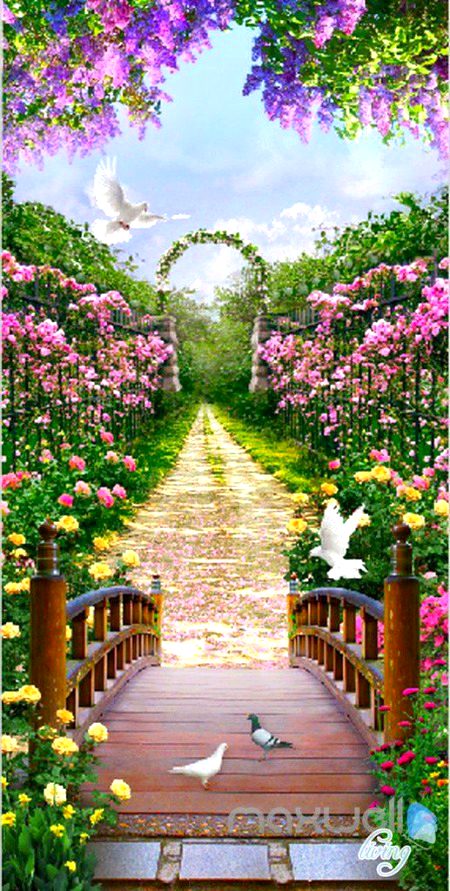 Beautiful Nature image
