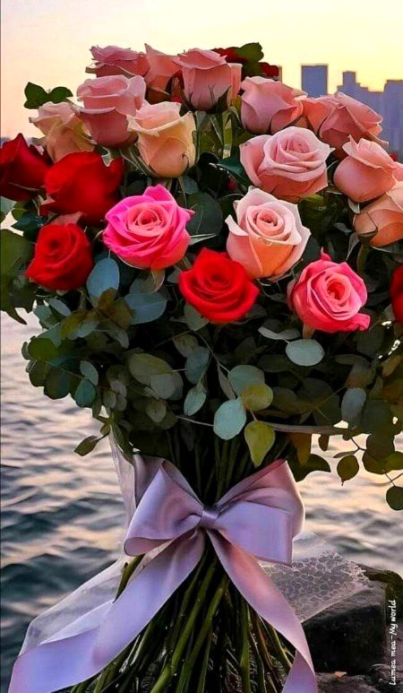 Beautiful Nature image