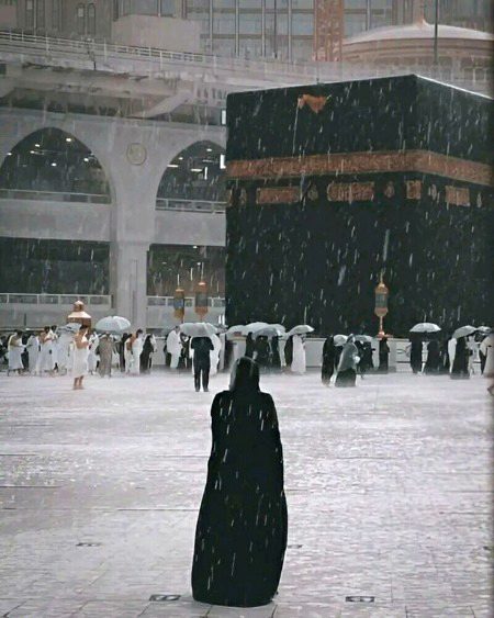 Beautiful Structures image