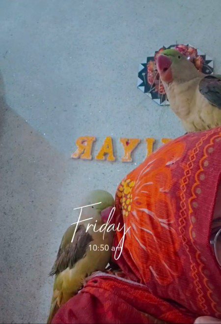 Beautiful Nature image