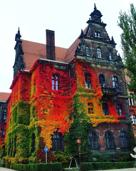 Beautiful Structures image