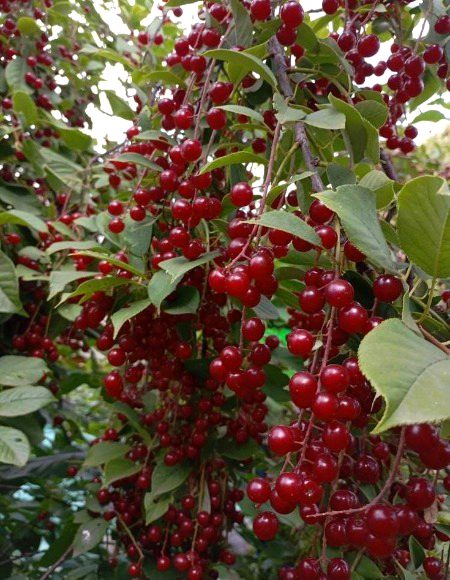 Beautiful Nature image