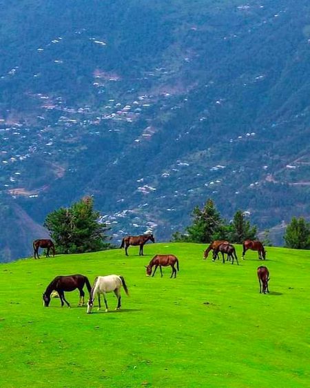 Beautiful Nature image