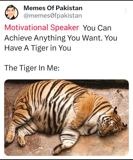 Memes & Satire image