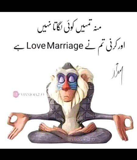 Memes & Satire image