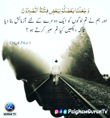 sdfsdafasdf  sdafsadfsdf