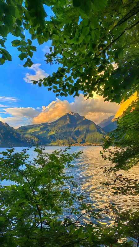 Beautiful Nature image