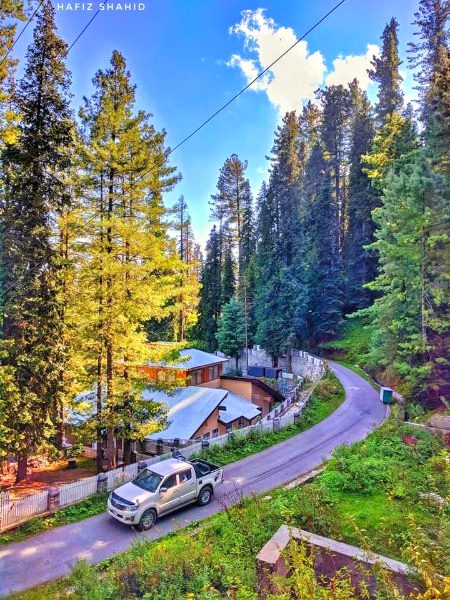 Beautiful Nature image