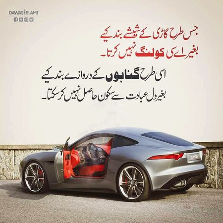 Life Advice image