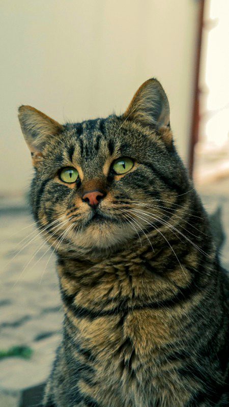 Beautiful Nature image