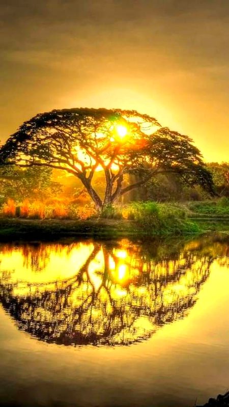 Beautiful Nature image