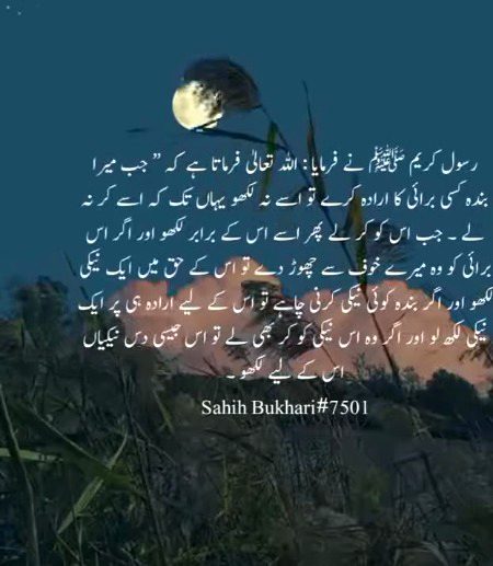 Islamic Quotes image
