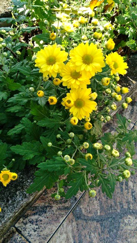 Beautiful Nature image