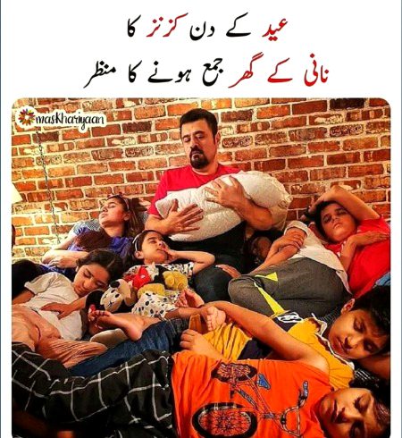 Memes & Satire image