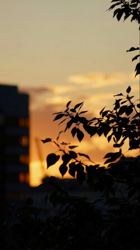 Beautiful Nature image