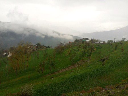 Beautiful Nature image