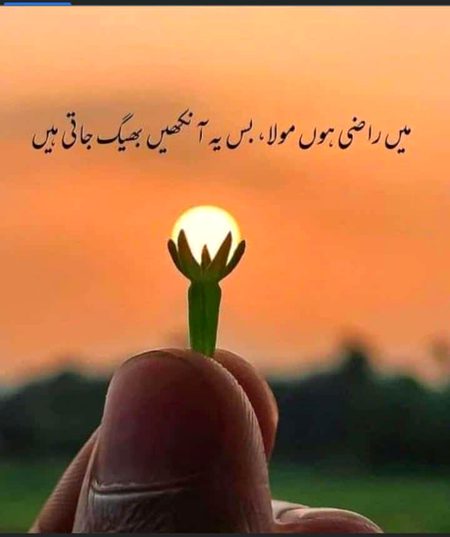 Sad Poetry image