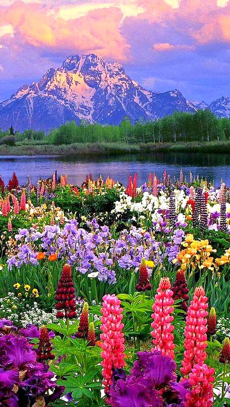BEAUTIFUL NATURE