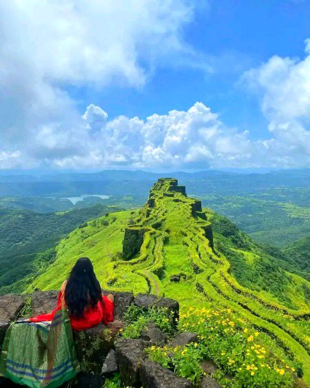 Beautiful Nature image