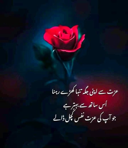 Motivational Quotes image