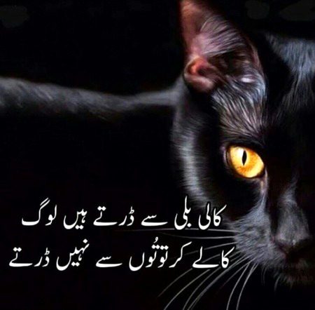 Right 💯🔥✌