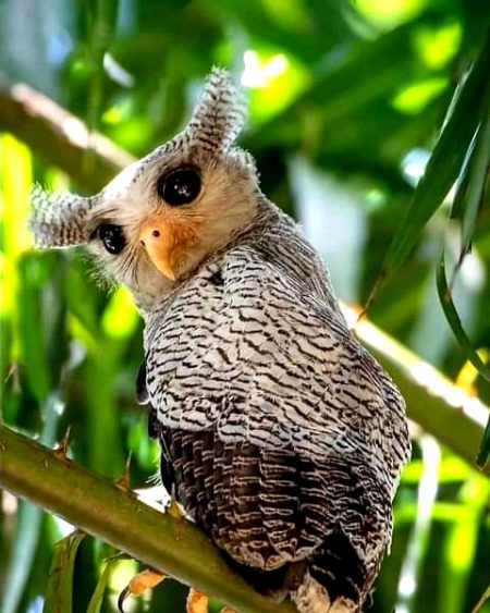 Beautiful Nature image