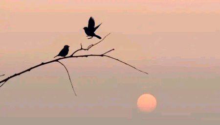 Beautiful Nature image