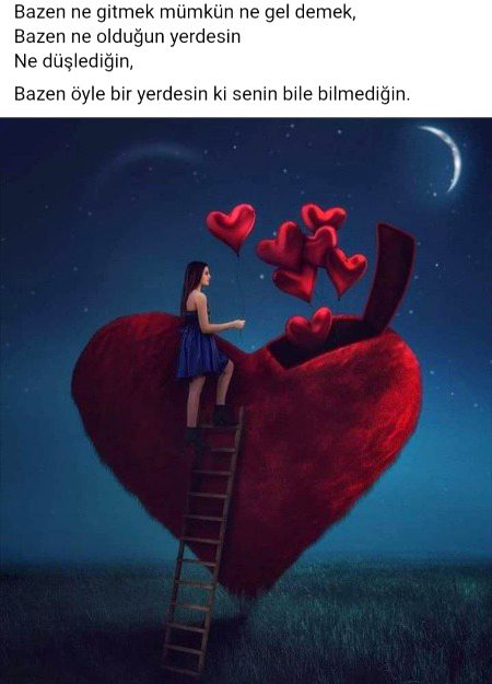 Digital Art___ Shearing by Z@G.