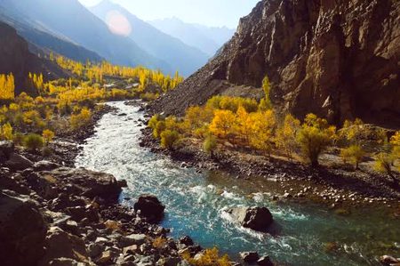 Beautiful Nature image