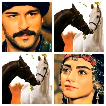 Turkish Celebs image