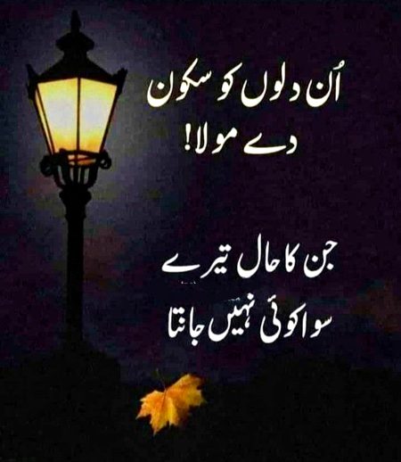 Saanaam ❣️❣️ ko bhi Amen