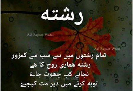 By Noor aina