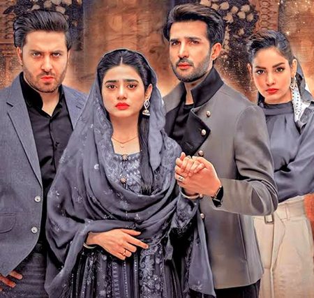 Pakistani Celebs image